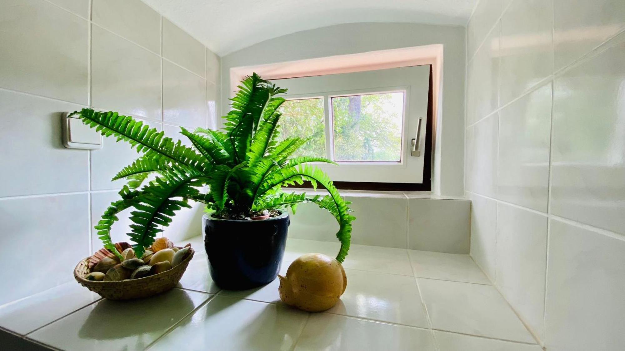 Ferienwohnung Villa Am Haussee フェルトベルク エクステリア 写真